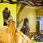 Eden 3 Sterne Superior Hotel Soltau