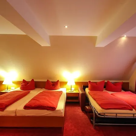 Eden 3 Sterne Superior 졸타우