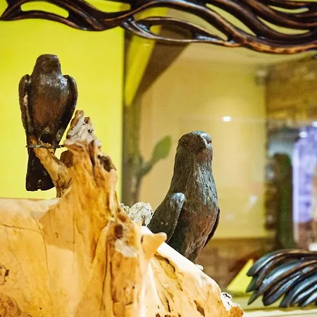 Eden 3 Sterne Superior 호텔 졸타우