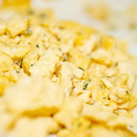 Eden 3 Sterne Superior 졸타우